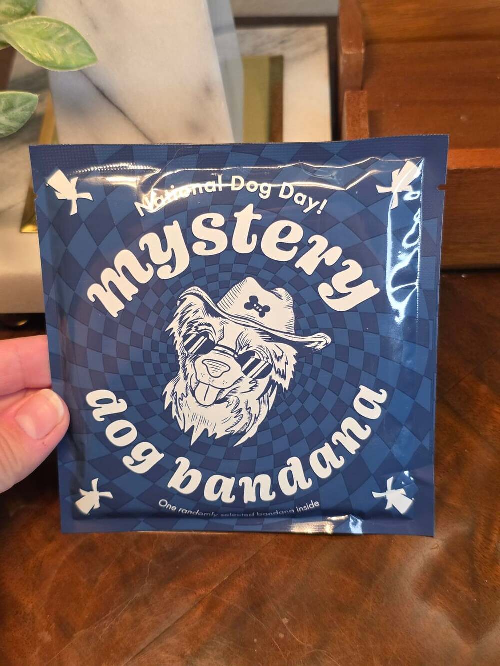 Dutch Pup National Dog Day Mystery Dog Bandana Blind Bag New